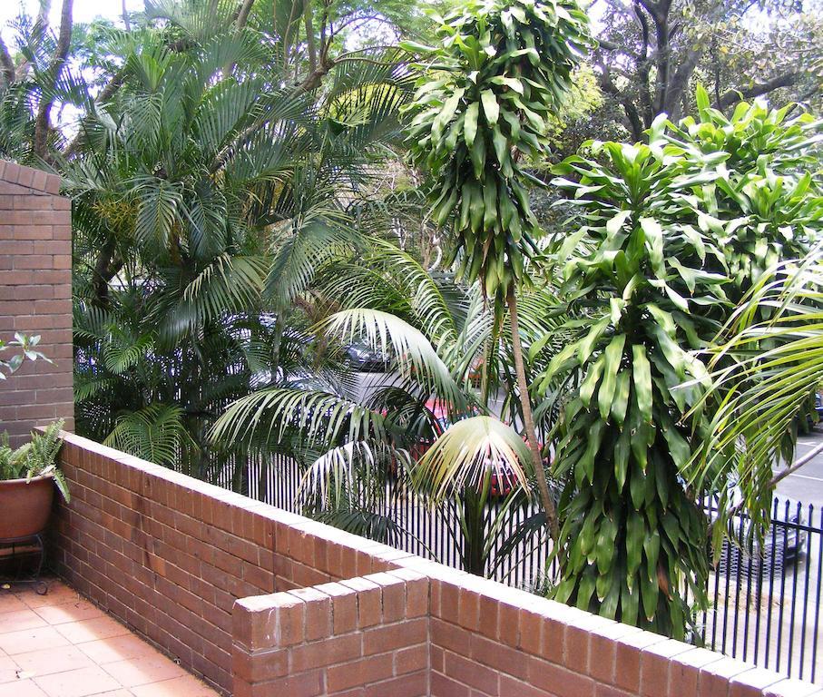 The Gardens Apartments Brisbane Exteriér fotografie